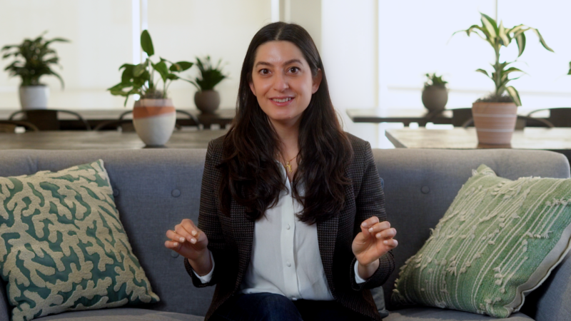 VC 101 | What’s a venture capital fund? | Videos - Chapter 1