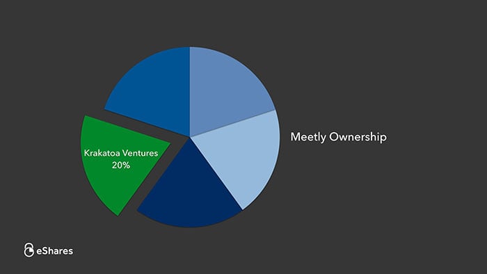 The Ownership Graph: Introduction