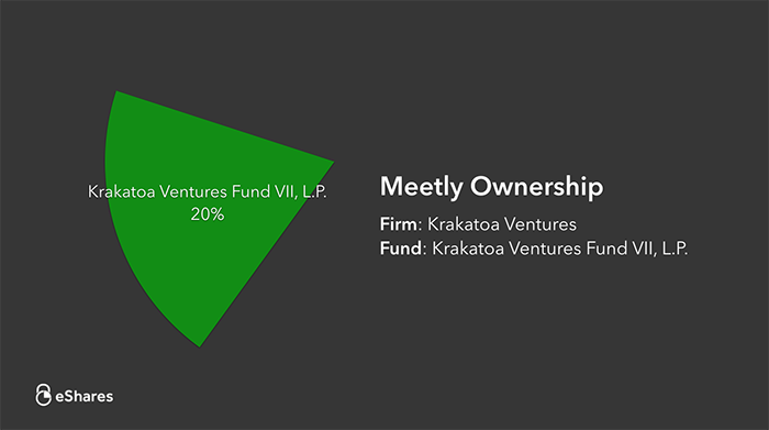 The Ownership Graph: Introduction