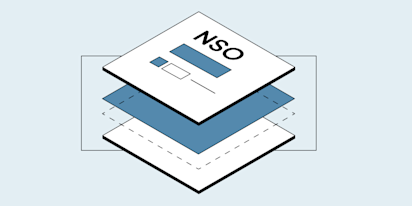 Non-qualified stock options (NSO)