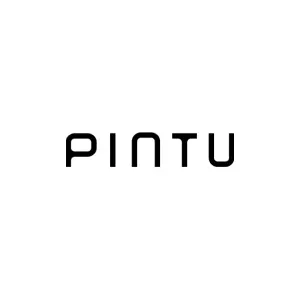 pintu