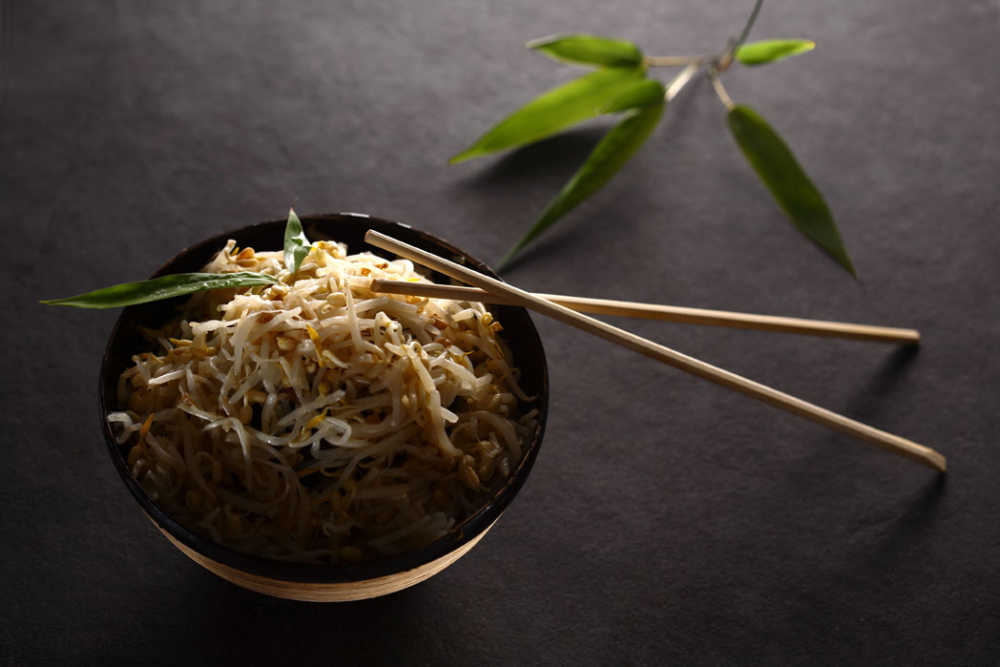 culinaire cuisine asiatique soja photographe culinaire lille