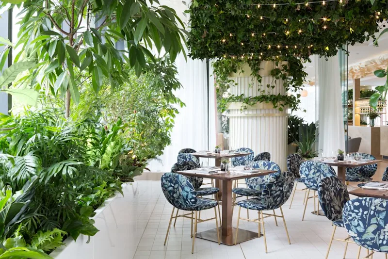 Fairmont Botanist 0877