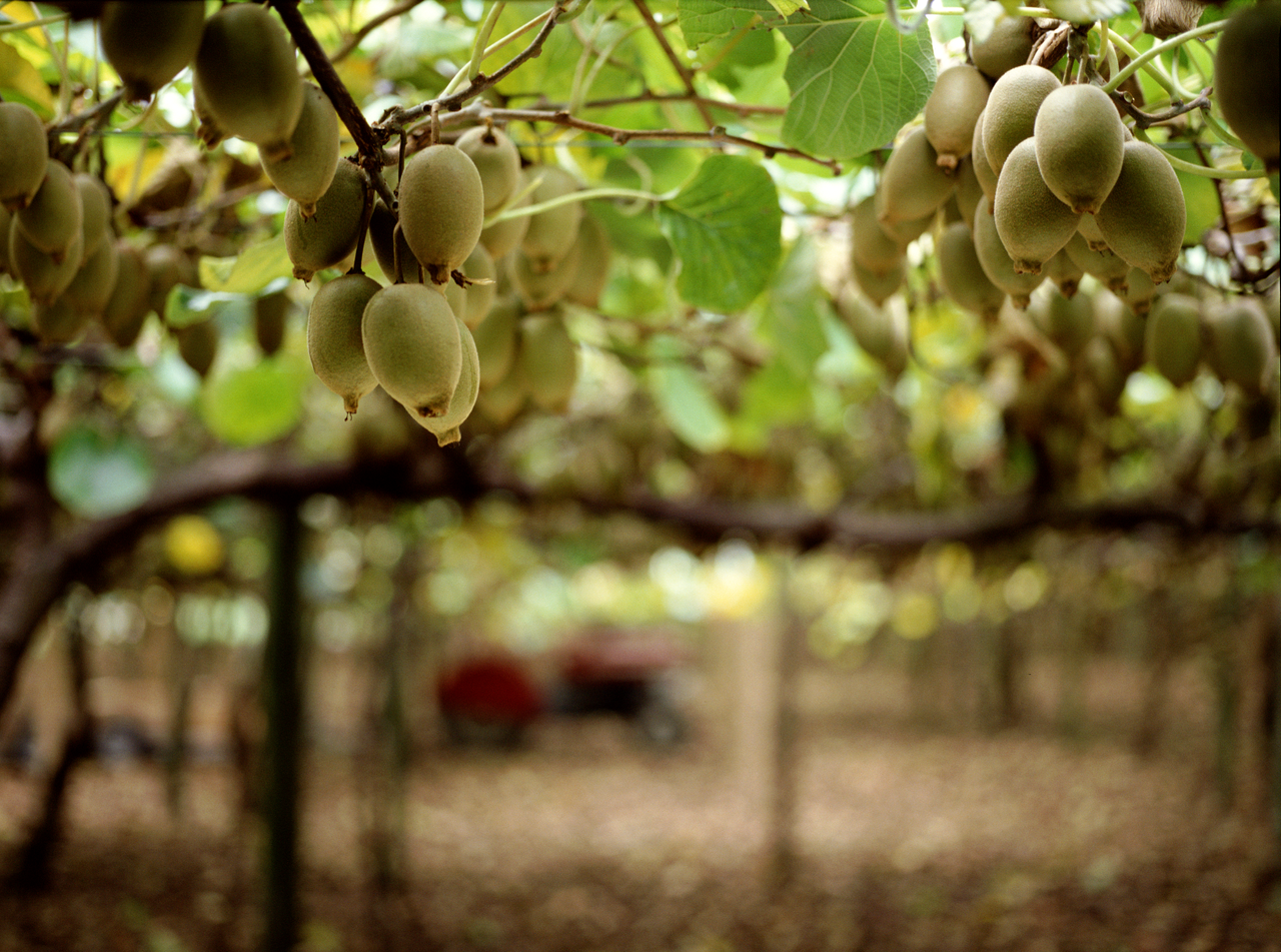 Social Banner Background