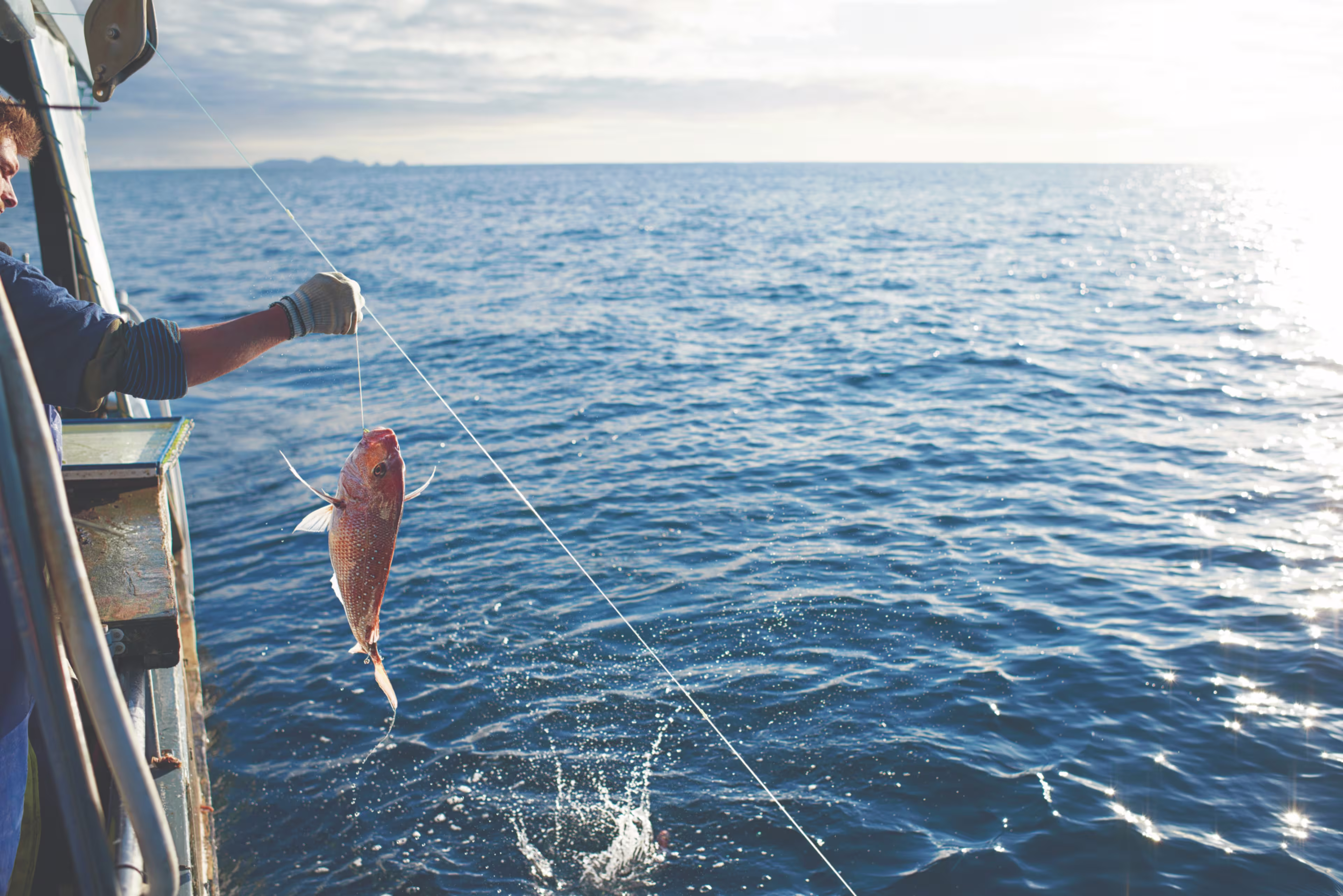 seafood - hero image