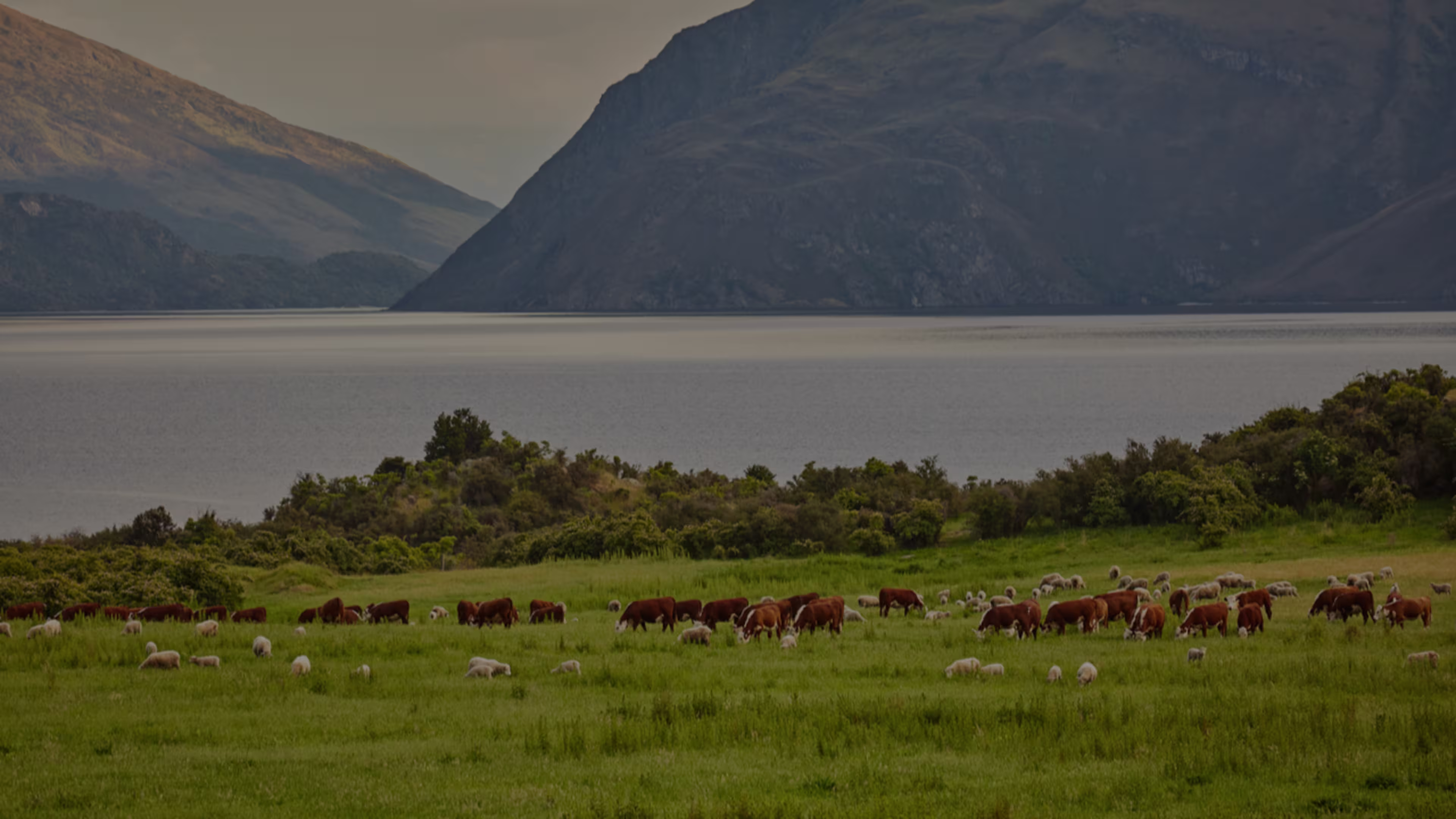 Social Banner Background