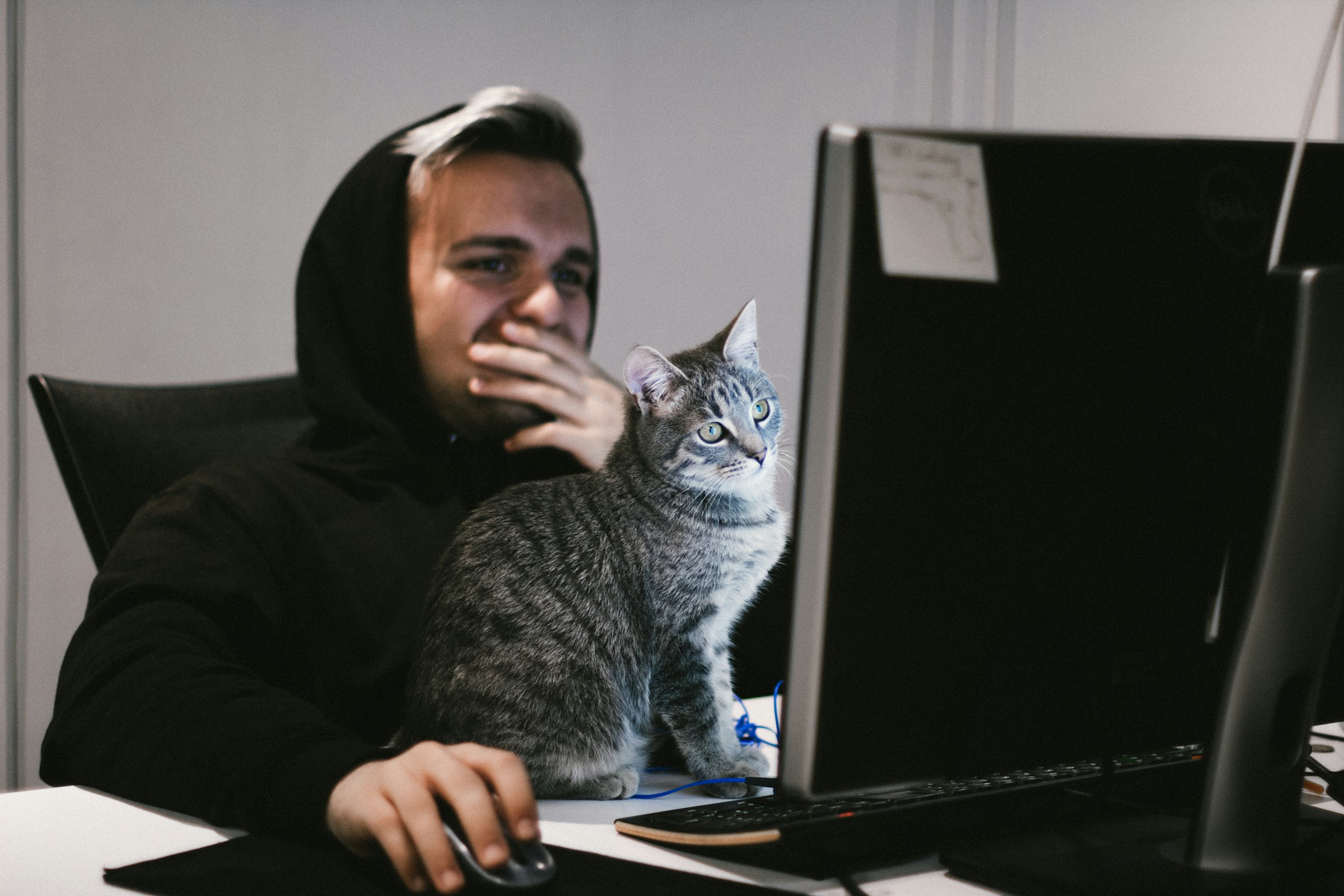 worried-developer-and-cat