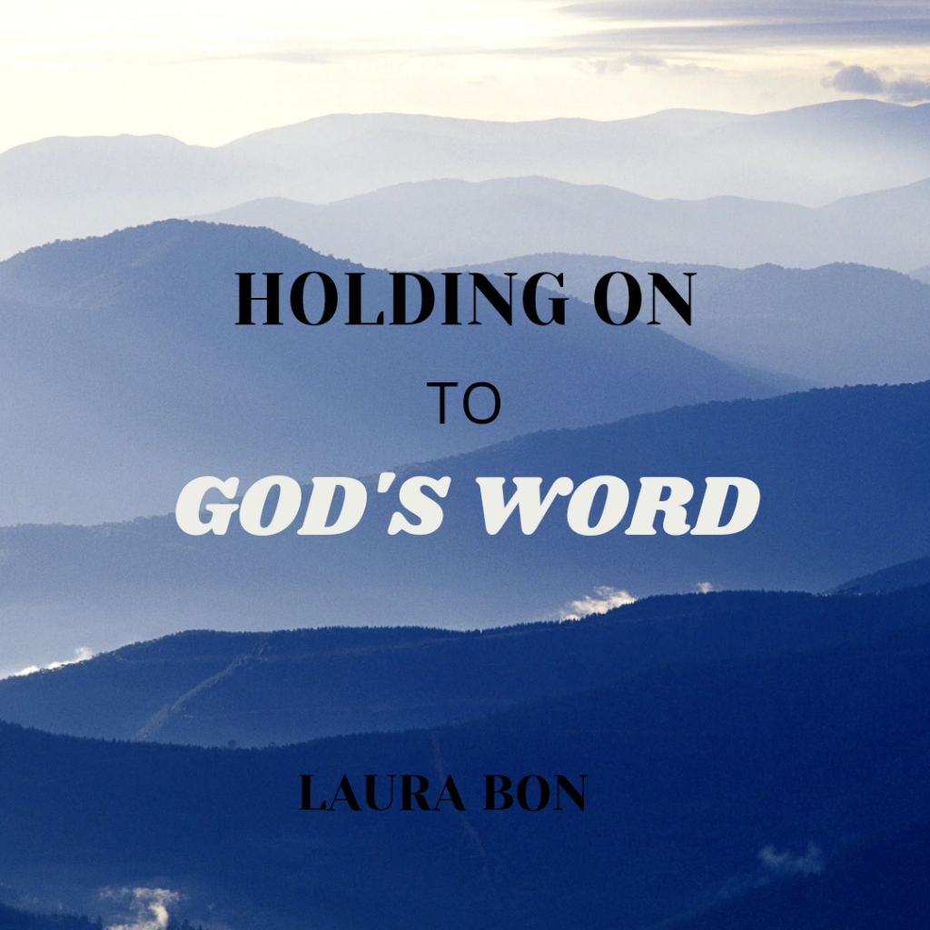 Laura Bon Foundation