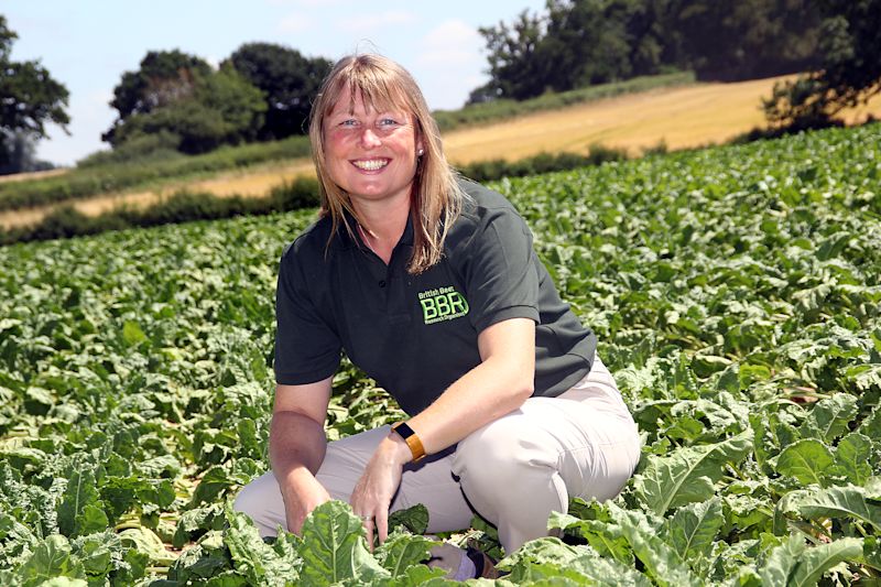 Up-beet about sustainable sugar