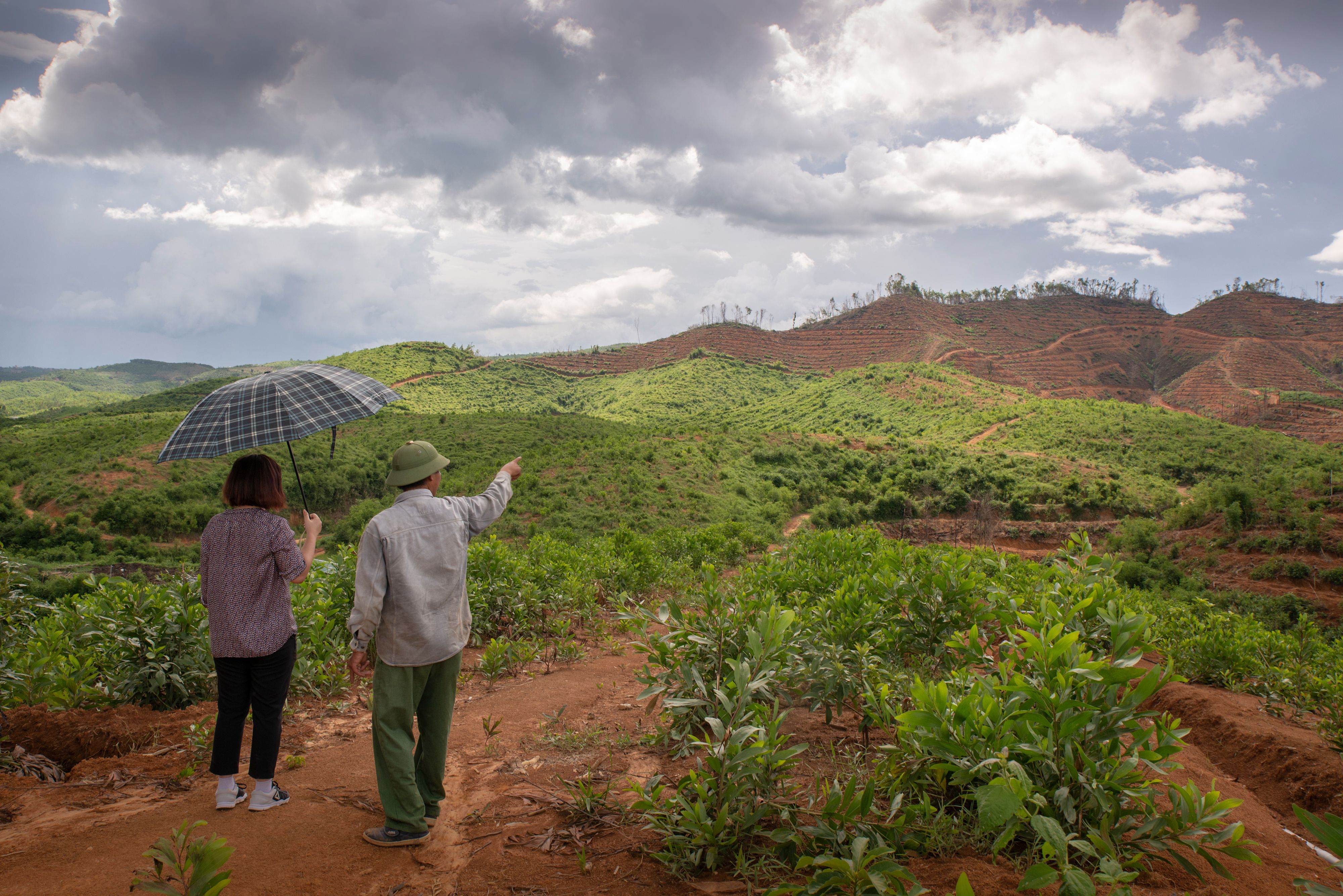 Tree crops · Plant & Food Research