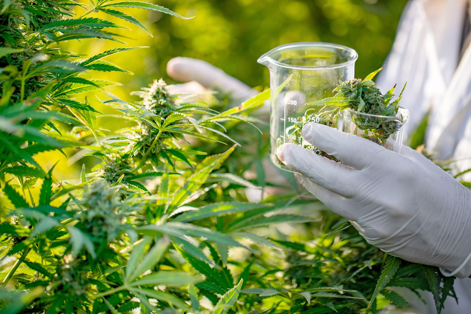 Science to build a fledgling industry