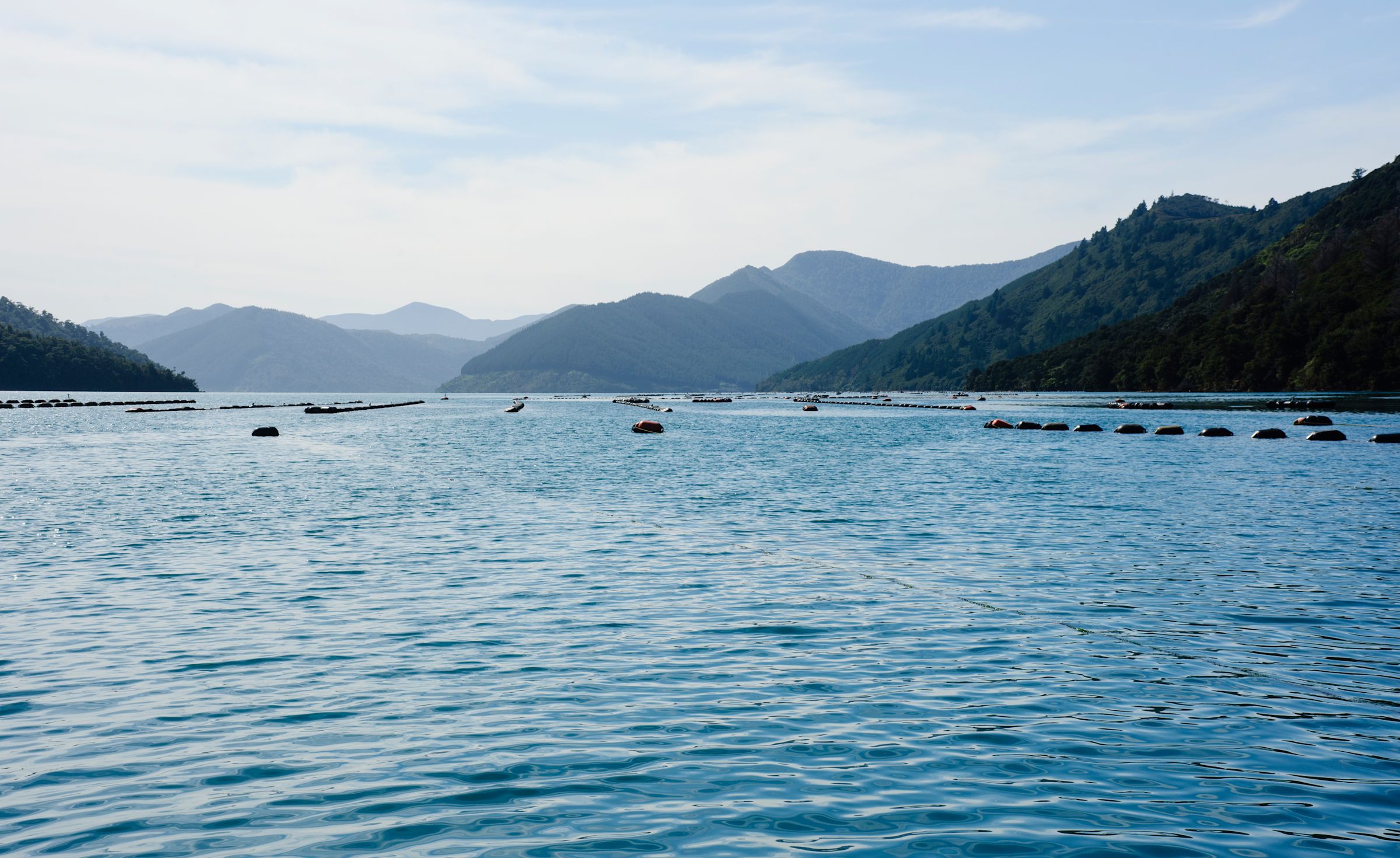 Fish breeding · Plant & Food Research