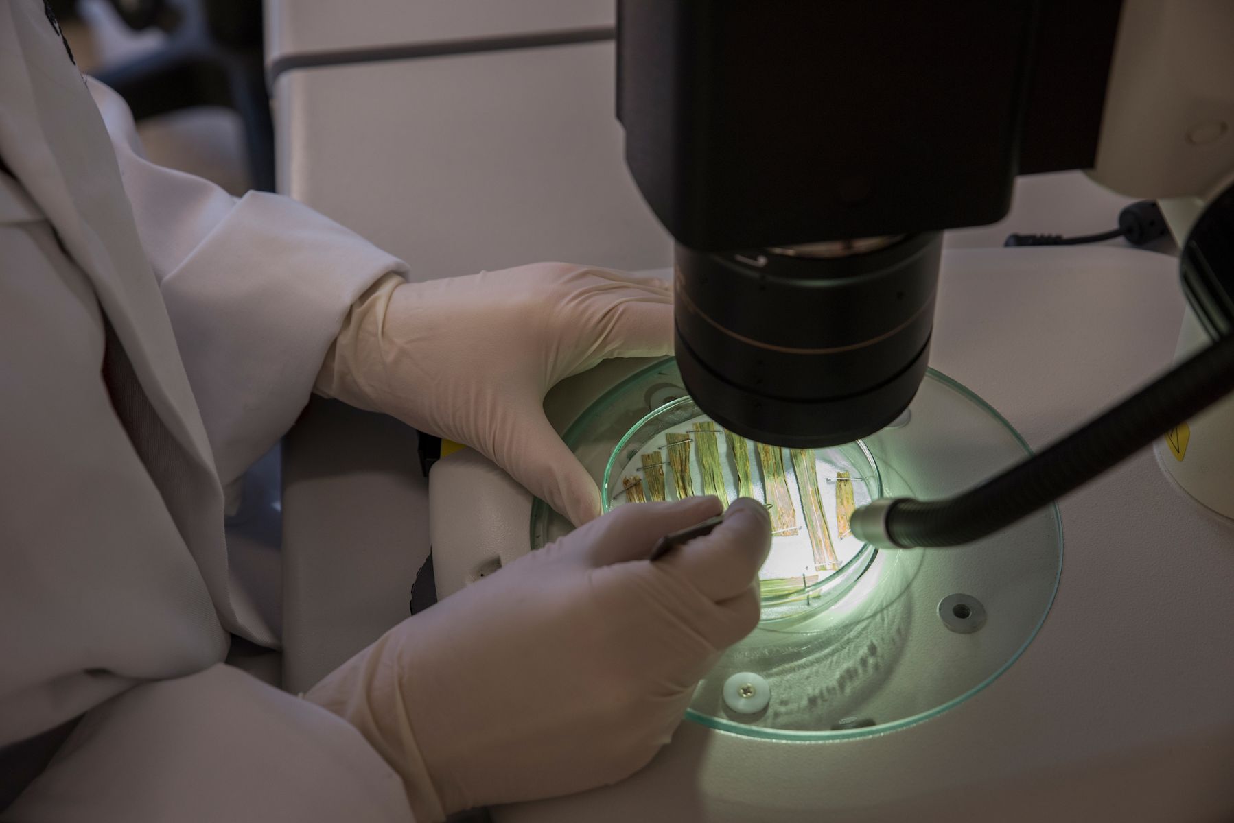 Ensuring efficacy of the arsenal