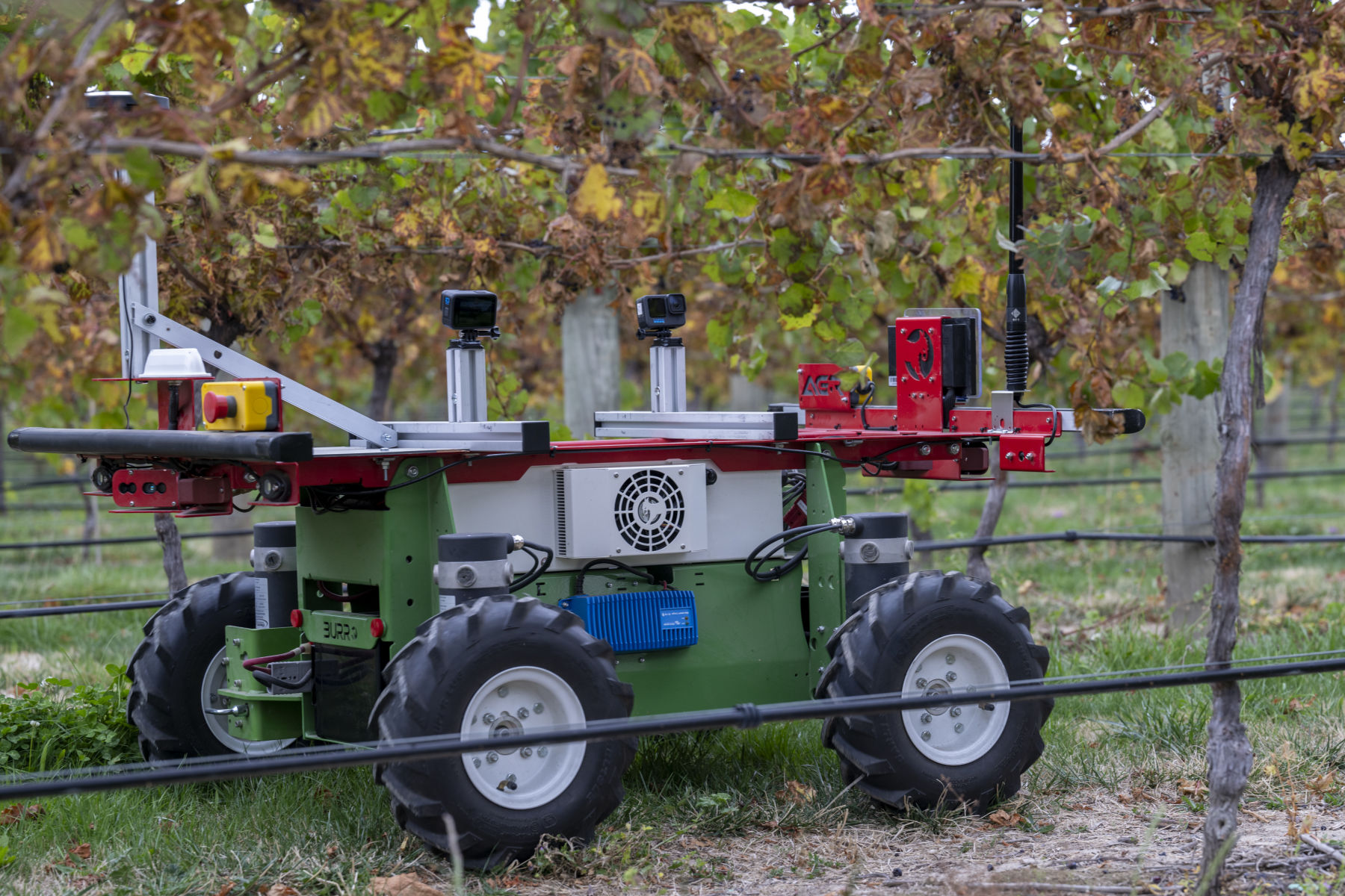 Vineyard surveys planned this Autumn using robotics, AI