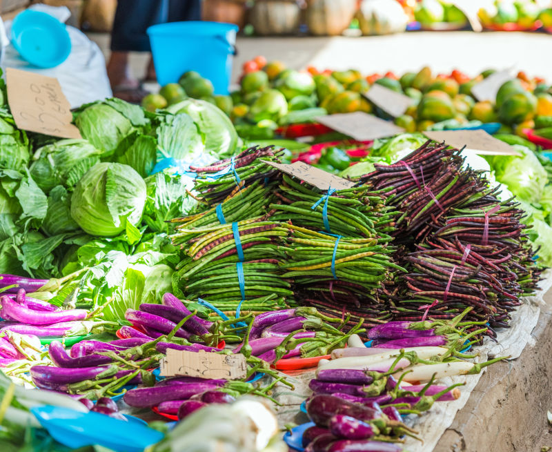 Multi-year research programme to enhance climate resilience across five Pacific nations