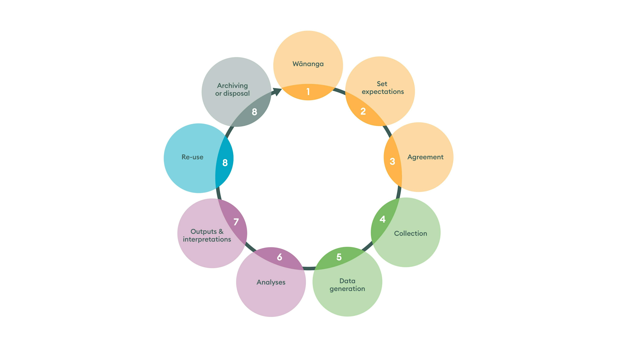 Te Koru Raraunga: A practical tool to guide co-management of taonga data 