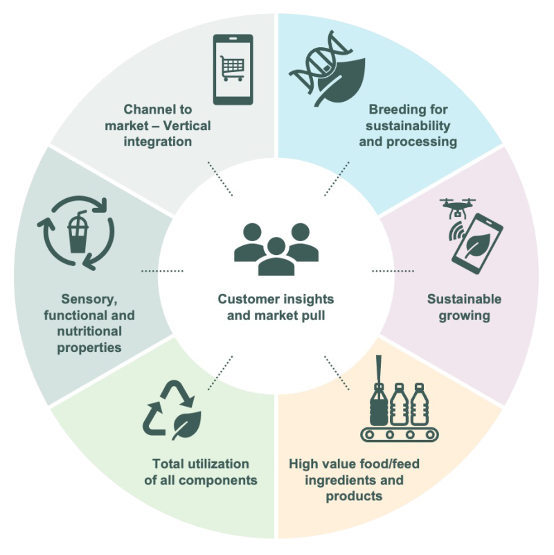 Research across the food value chain infographic