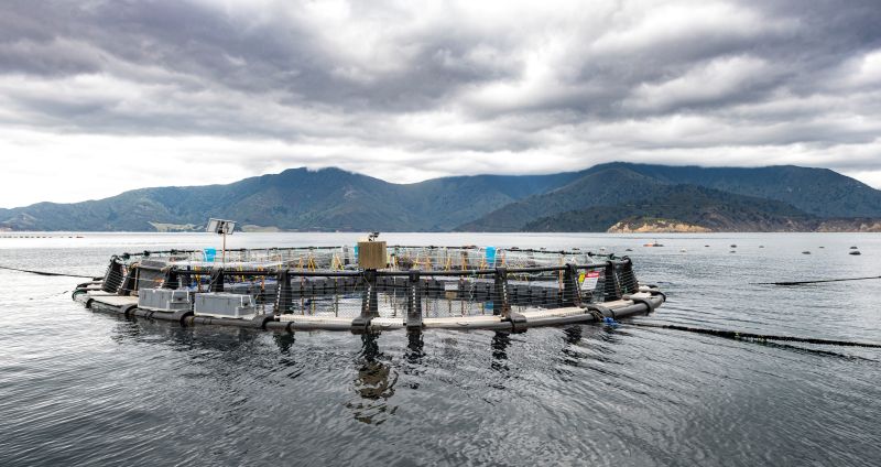 Mobile aquaculture