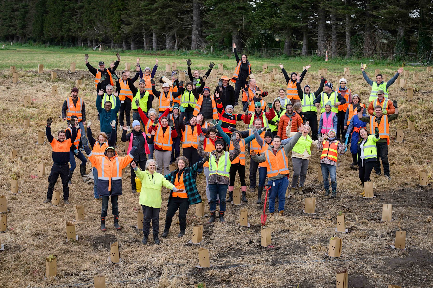 Greening the gully - Planting day on research farm in Lincoln