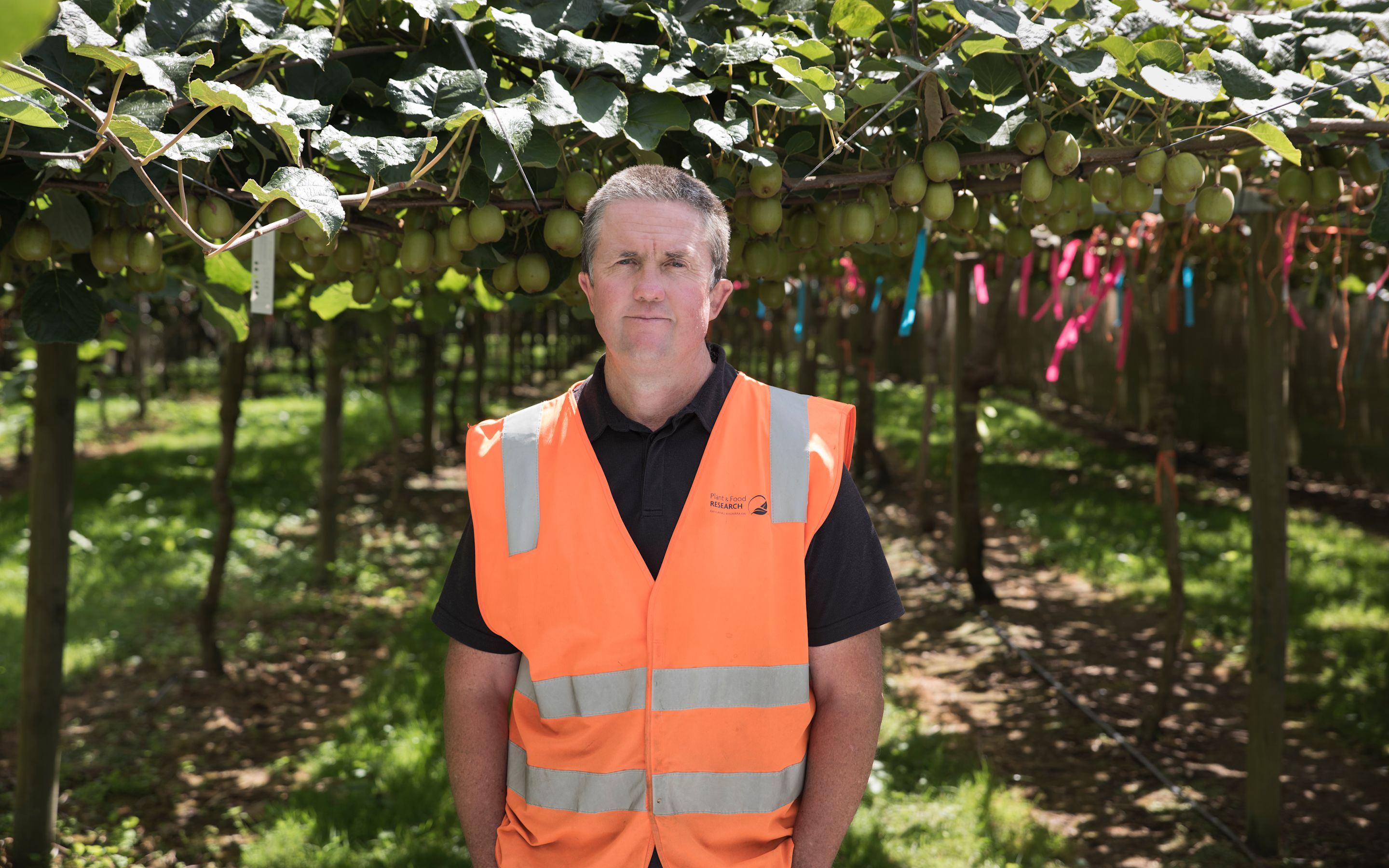 Steven Owen the scientist’s grower · Plant & Food Research