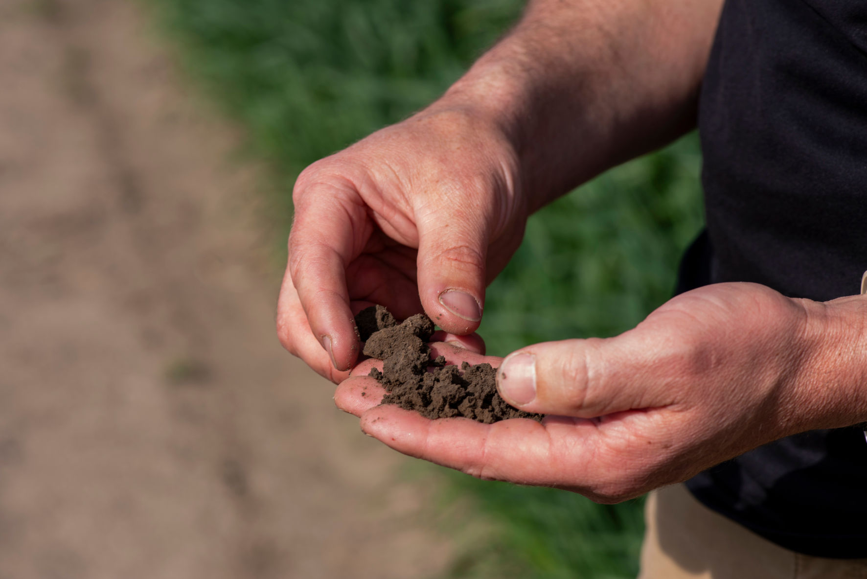 Soil moisture decline in China’s monsoon loess critical zone