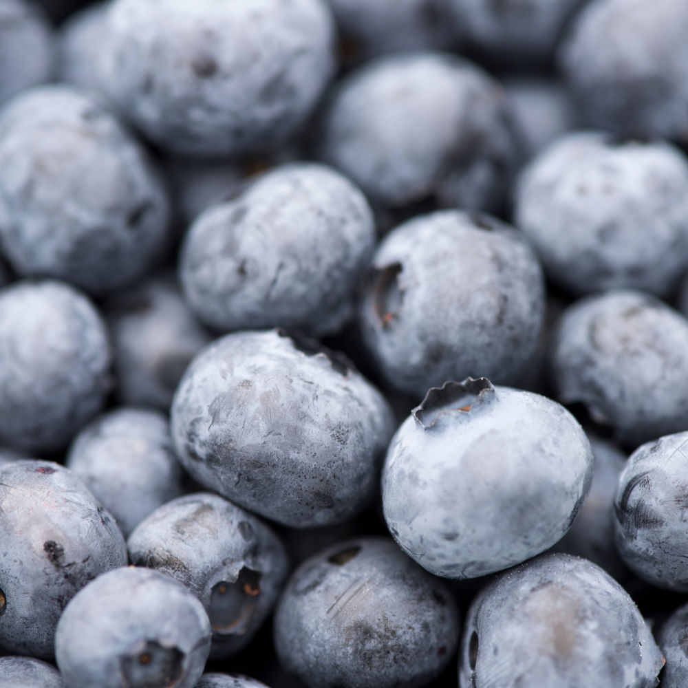 Lovely fresh blueberries