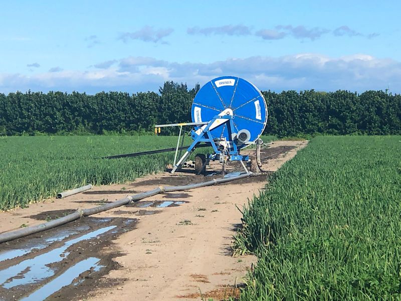 Measuring real-time nitrate loss from cropping leachate