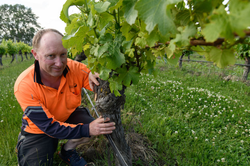 Dion Mundy: new tech for the vine doctor  