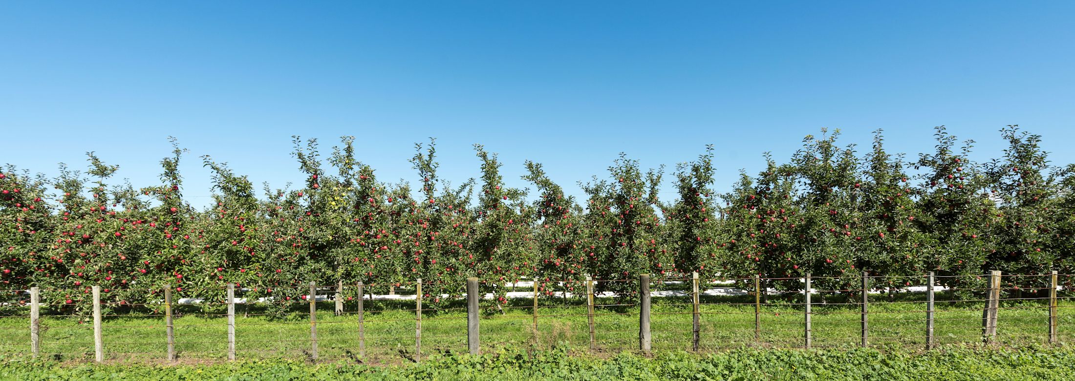 New funding to support healthy bioeconomy