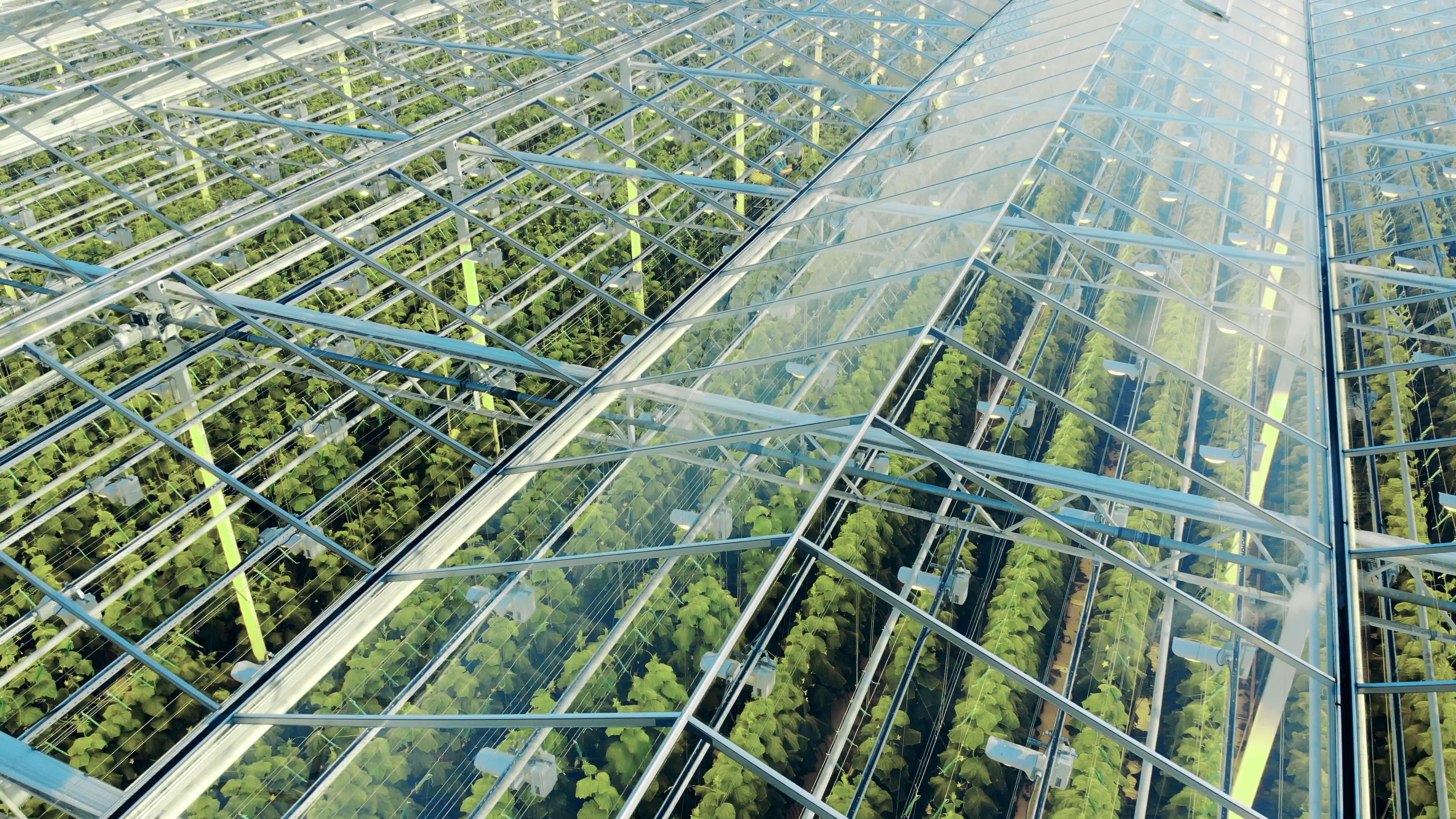 Glasshouse from above