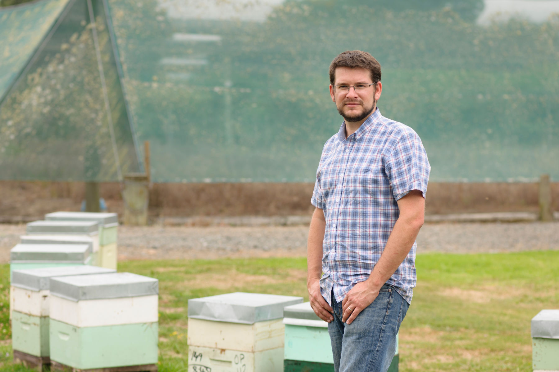 David Pattemore: native insects recognised for their role in food production