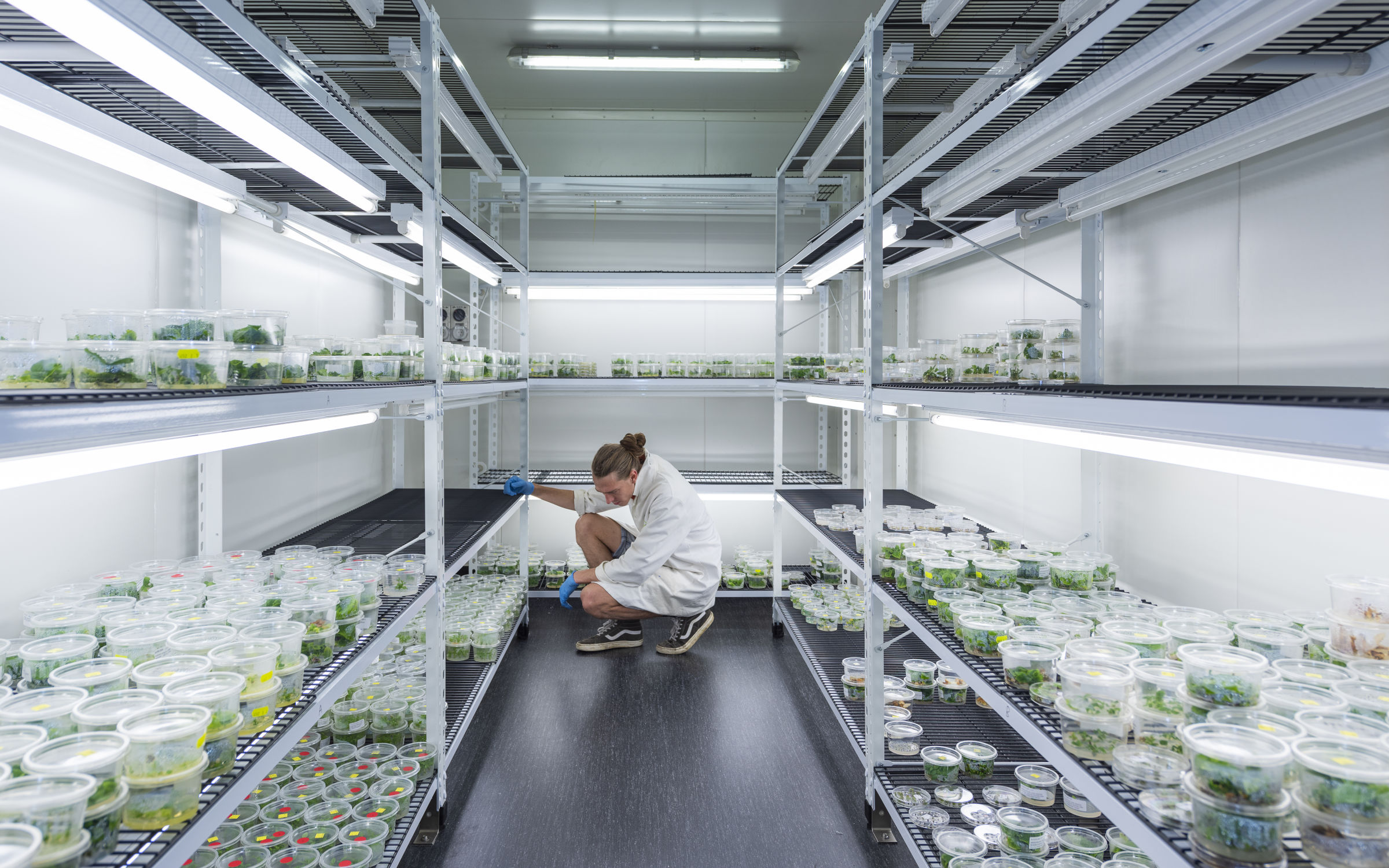 plant and food research