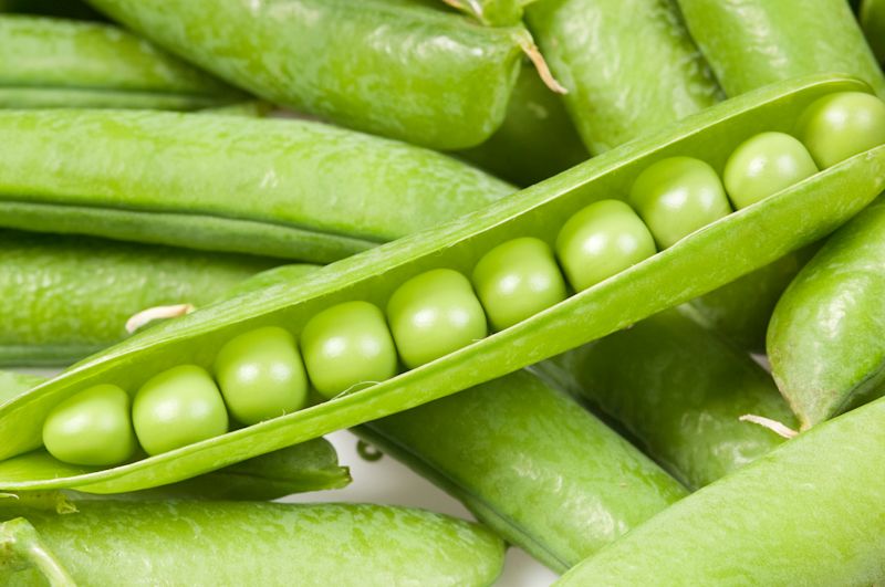 Breeding next-generation peas