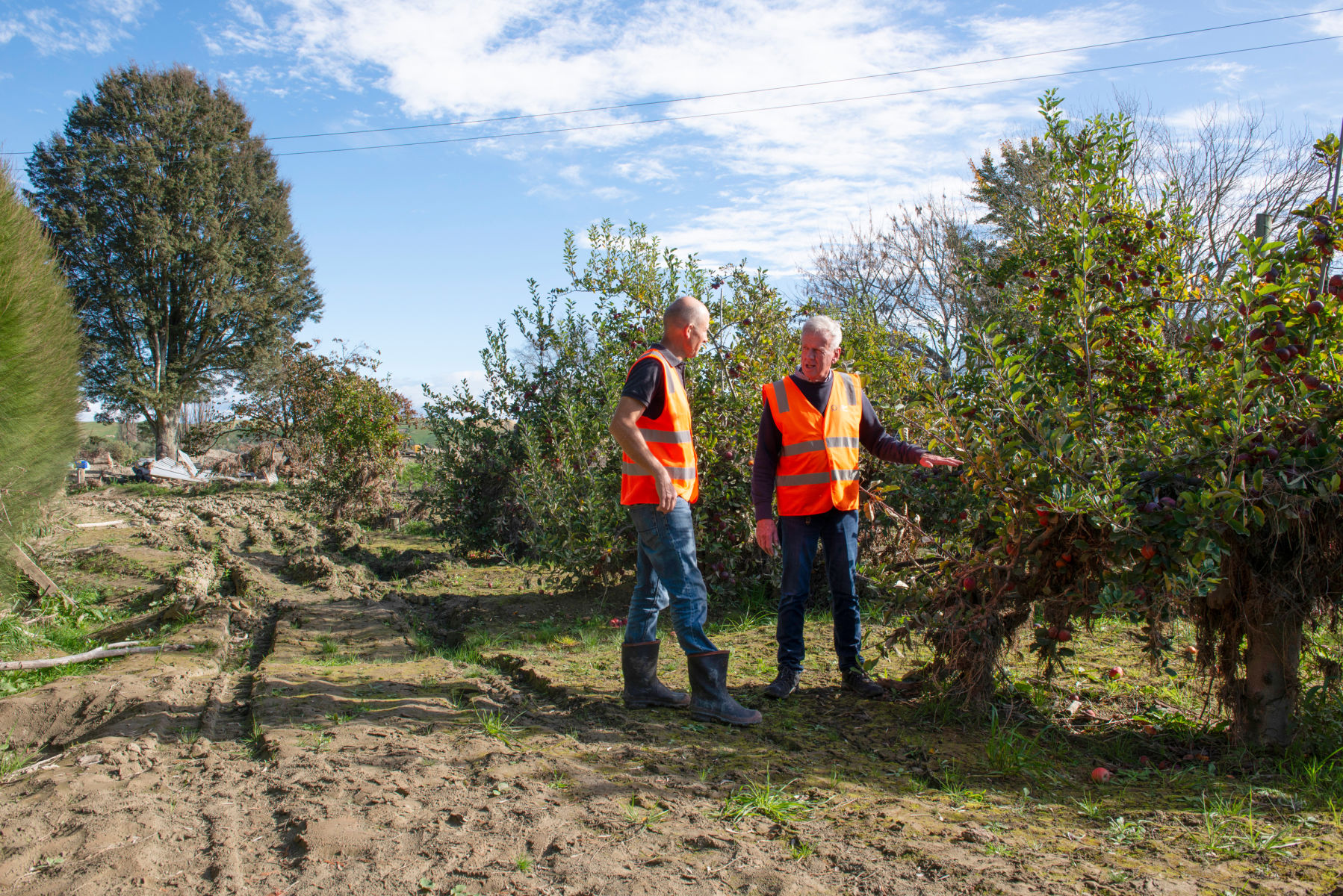 Apple orchards surveyed as part of Cyclone Gabrielle recovery research