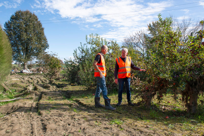 Apple orchards surveyed as part of Cyclone Gabrielle recovery research