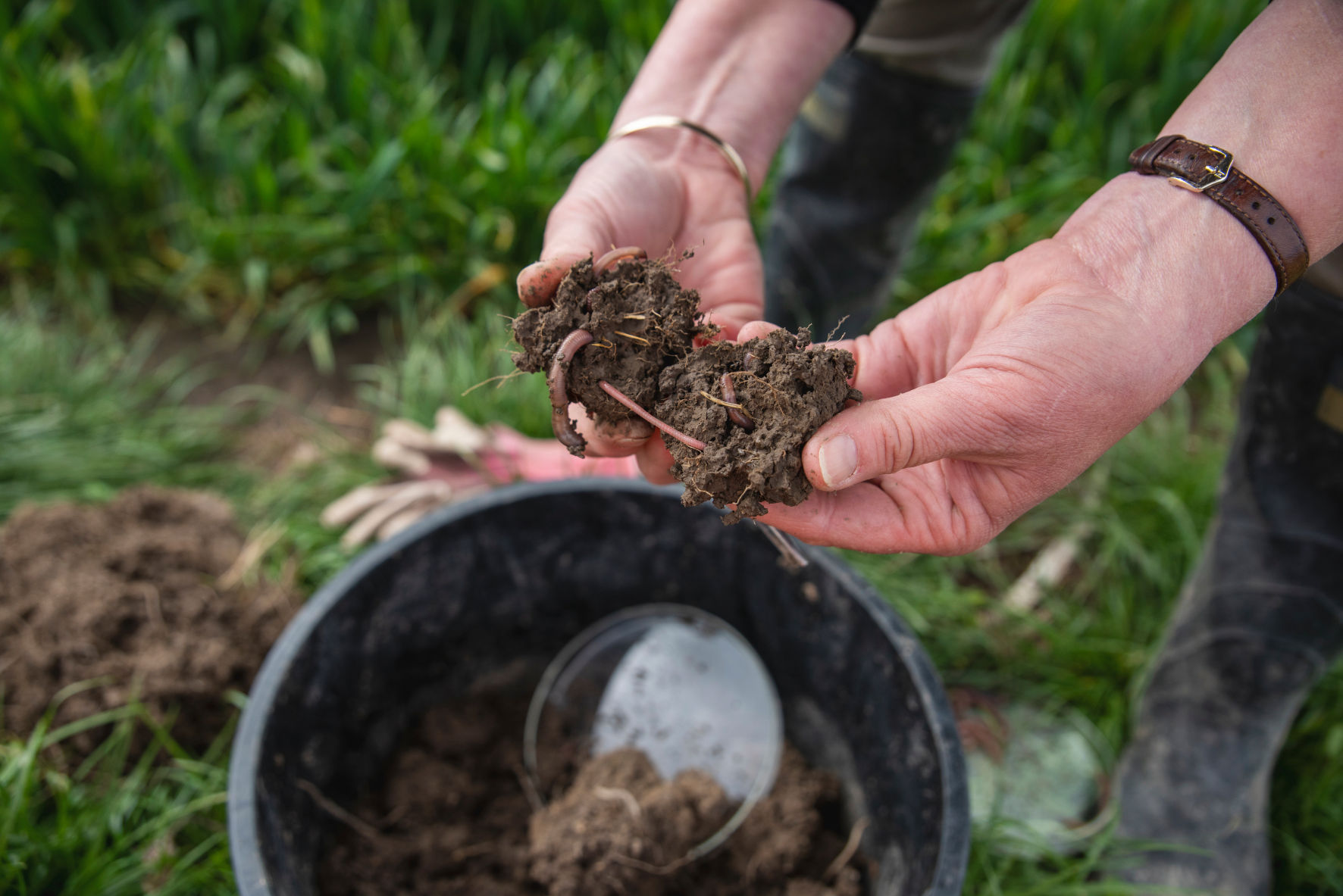 NZ Society of Soil Science Conference 