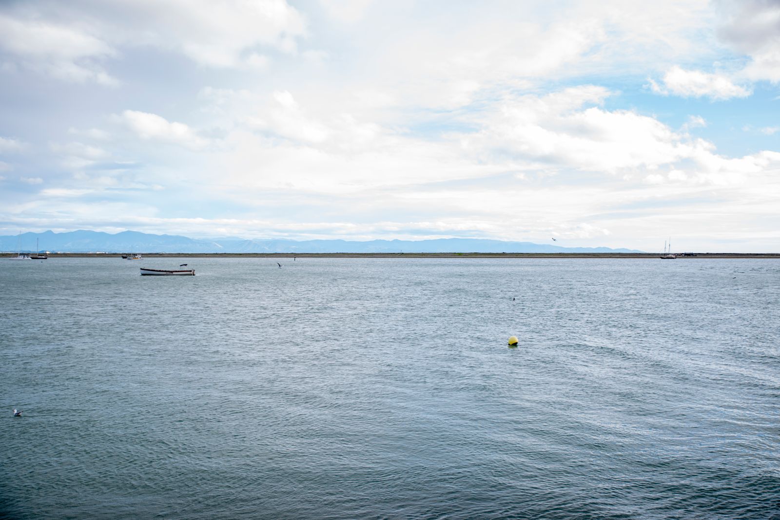 Fish breeding · Plant & Food Research