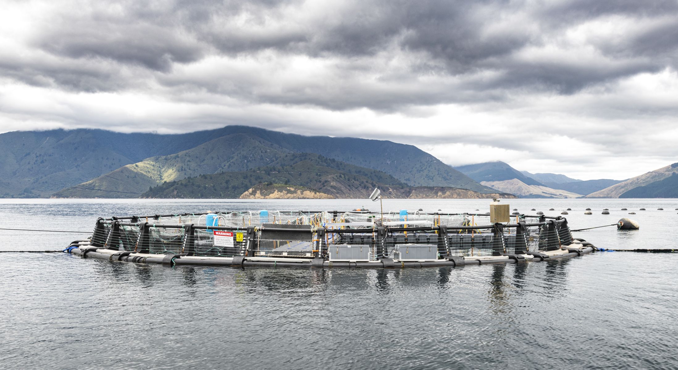 Ngāi Tahu Seafood (NTS) sea pen supports open ocean aquaculture research
