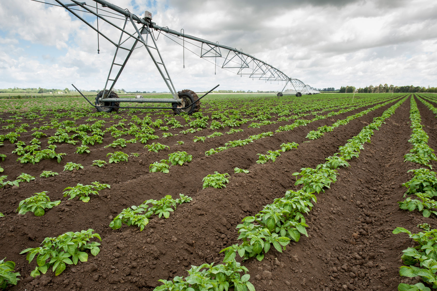 Making decisions to water the crop