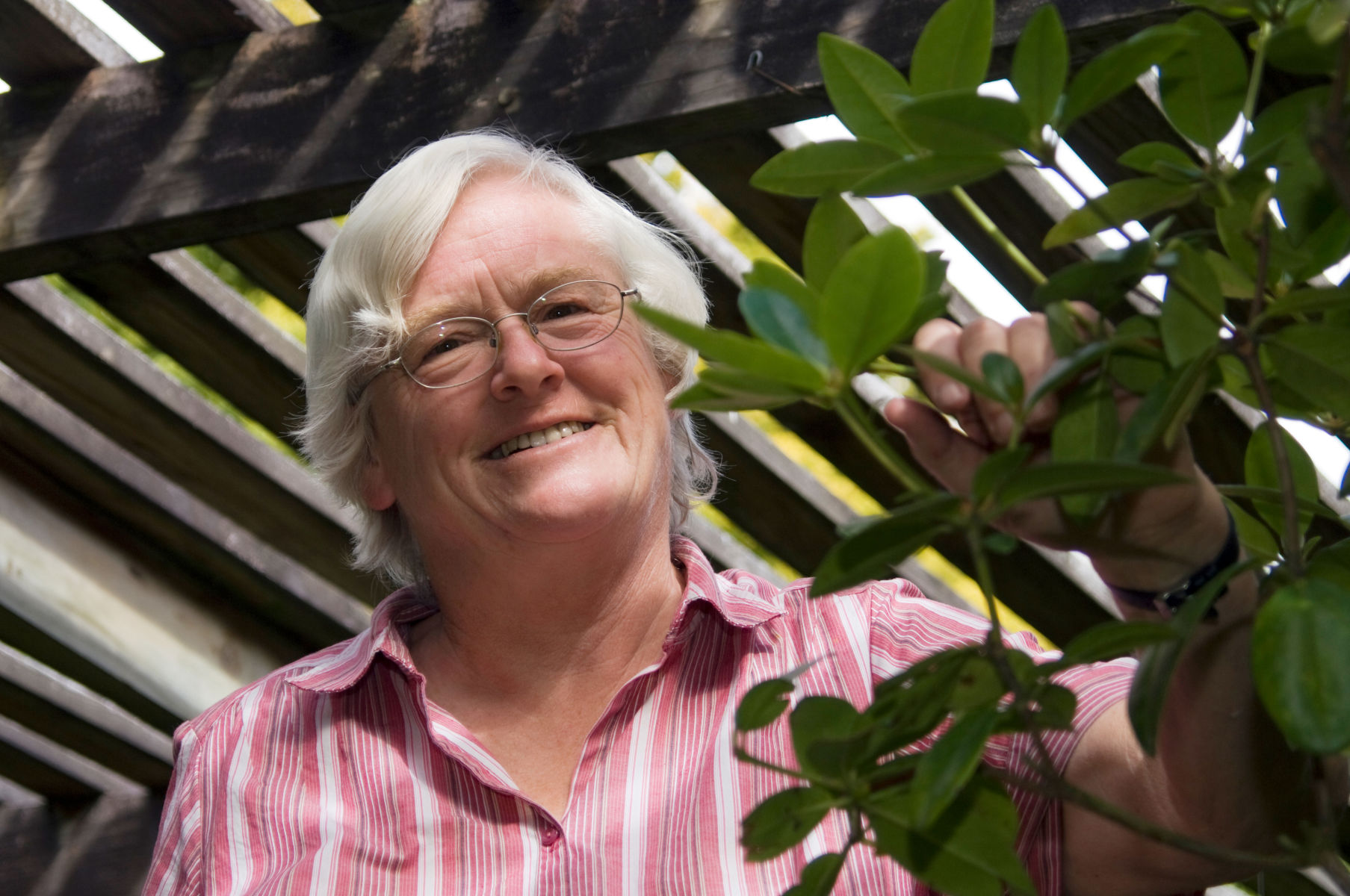 Plant molecular geneticist Dr Susan Gardiner honoured by Royal Society Te Apārangi and ISHS