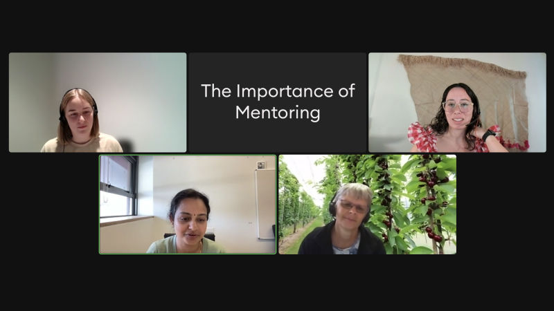 The importance of mentoring