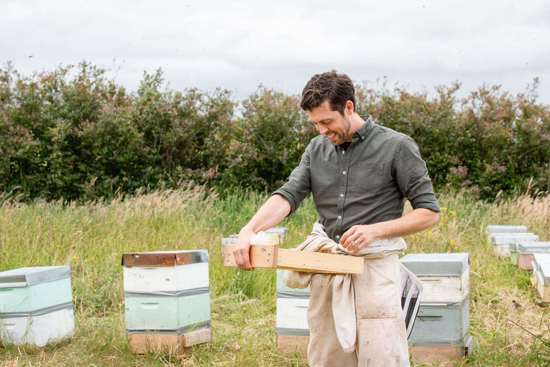 Brian Cutting: protecting Australian bees from potential predator