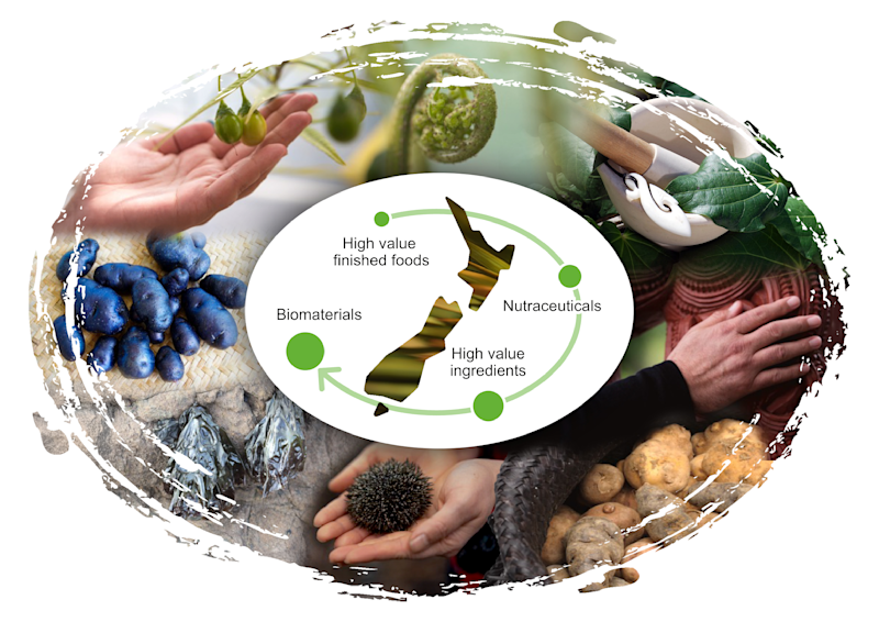 2025-authentic-taonga-foods-infographic