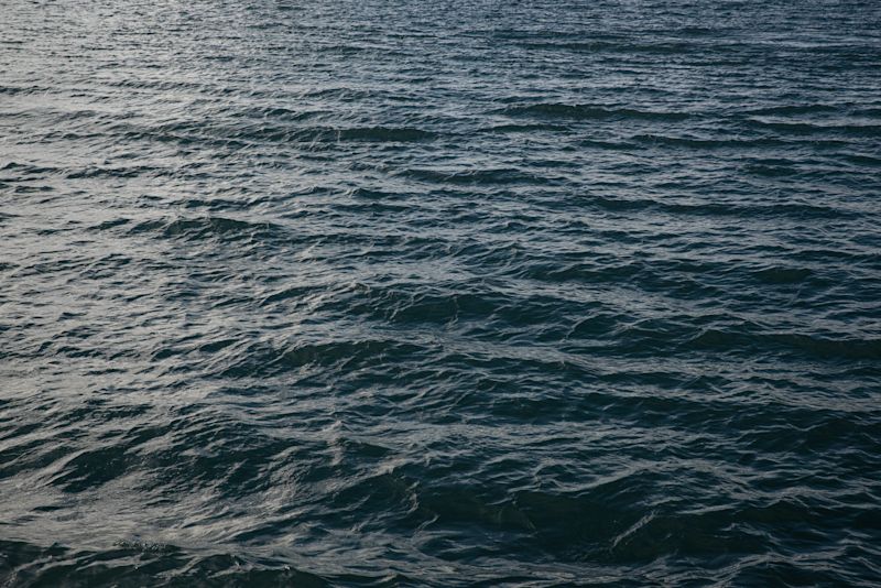 Experimental investigations on a highly flexible submerged structure in waves 