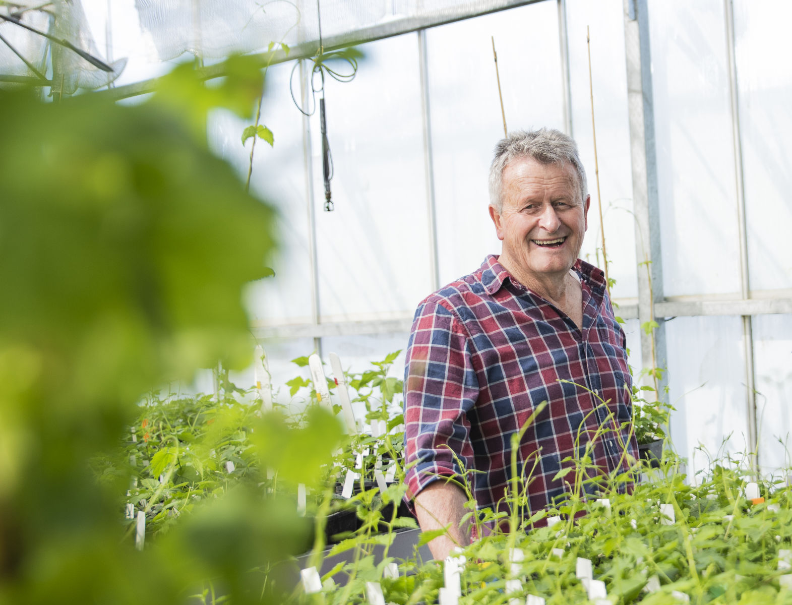Plant & Food Research scientist Dr Ron Beatson wins the Morton Coutts Award