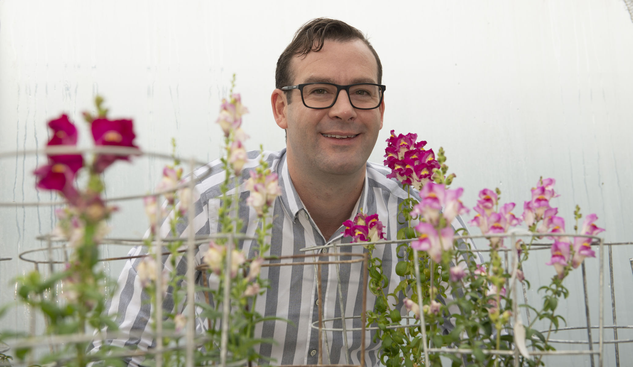 Emerging plant geneticist Dr Nick Albert wins Royal Society Te Apārangi Hamilton Award