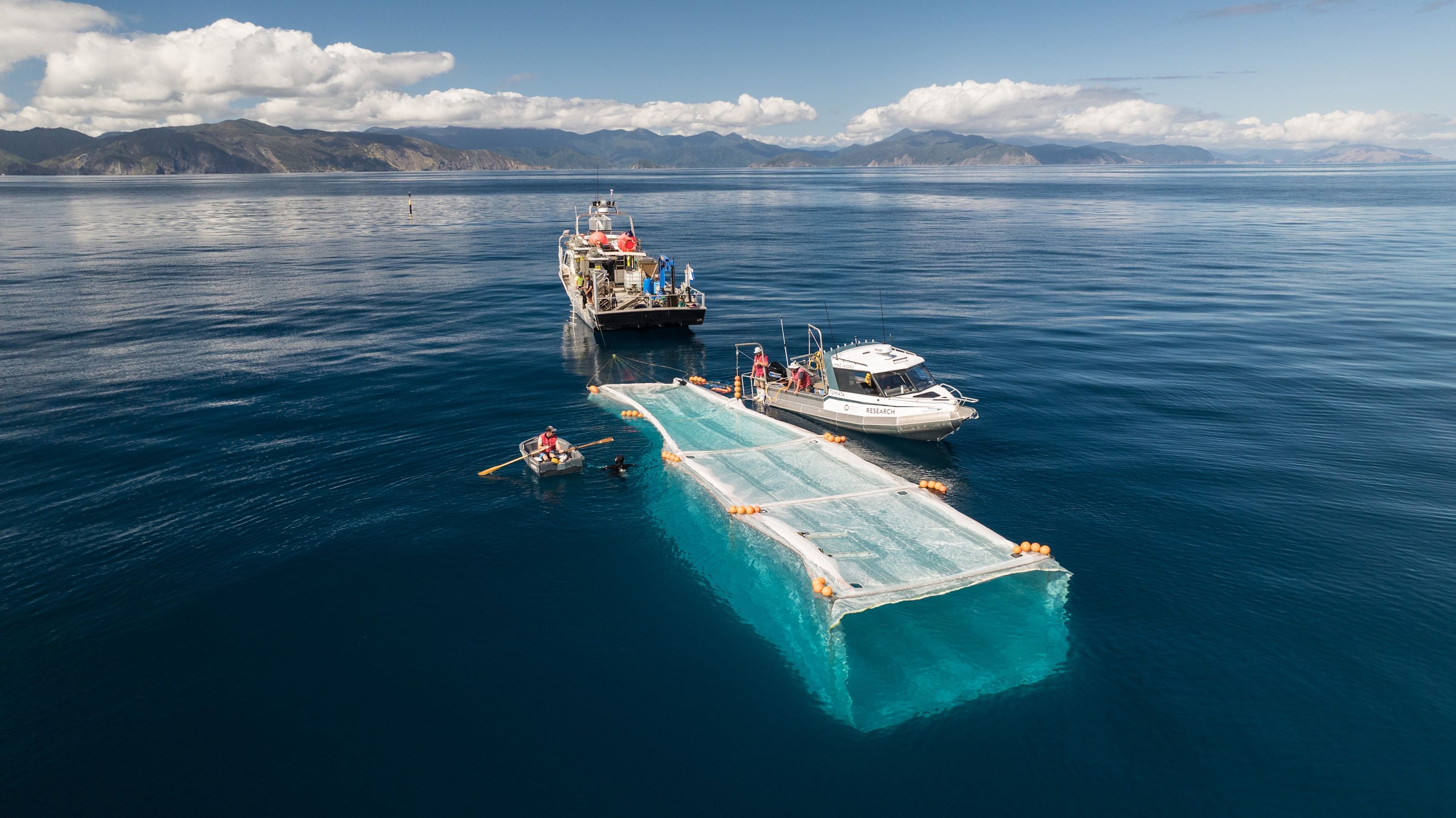 Reimagining offshore fish structures · Plant & Food Research