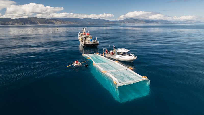 Reimagining offshore fish structures