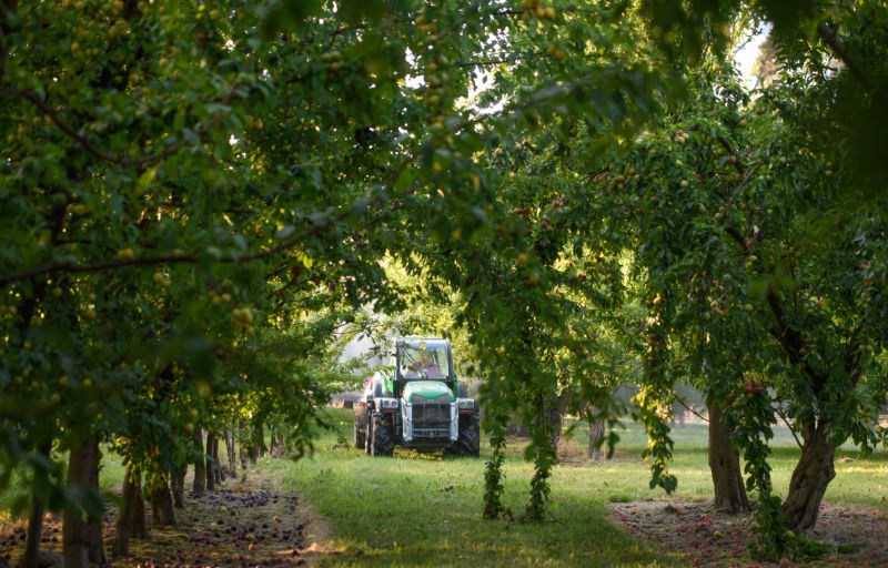 New Zealand joins global initiative to enhance uptake of biological controls