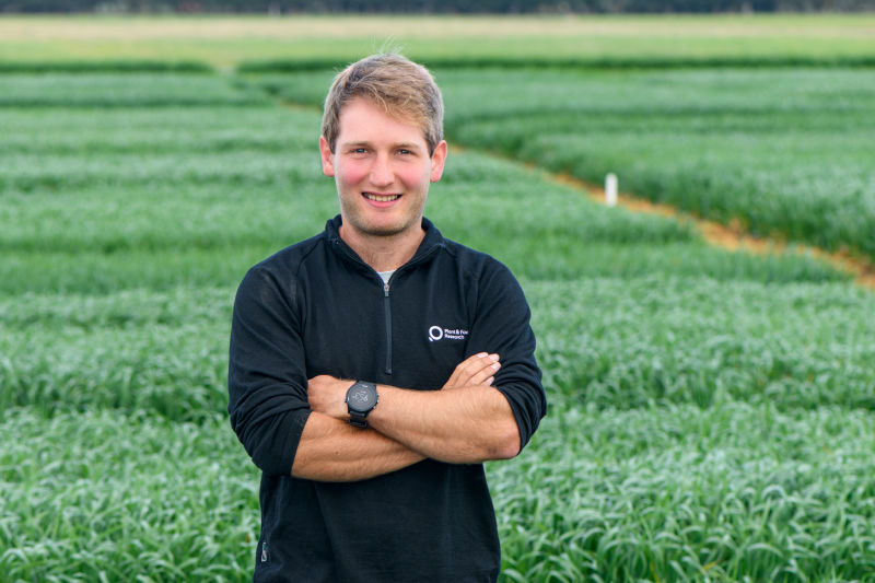 Jamie Macalister: breeding healthier wheat